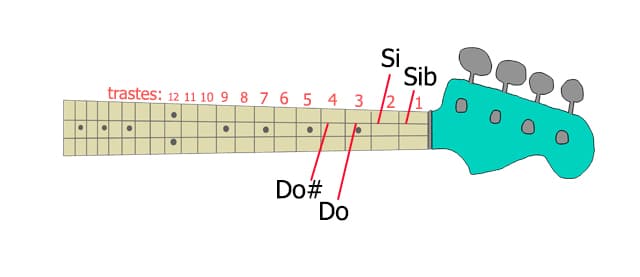 notas conc sostenidos y bemoles en el diapason